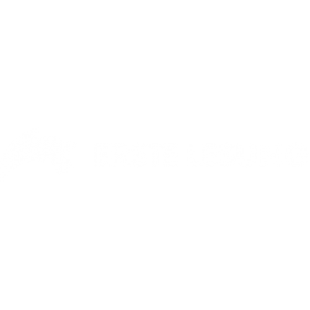 Erste Lesung